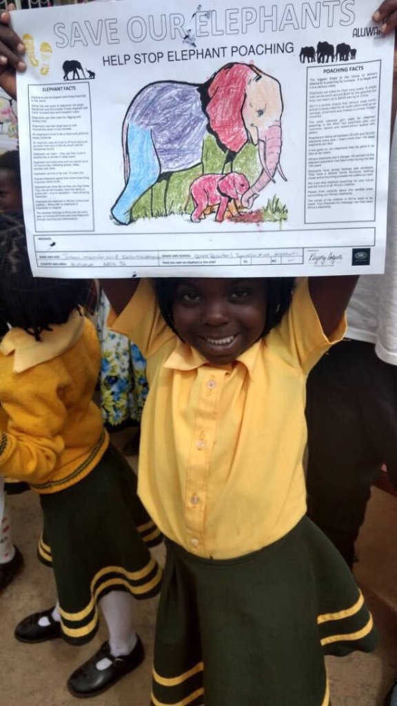Art for Elephants