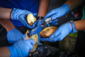Potato peeling for a hot meal for refugees