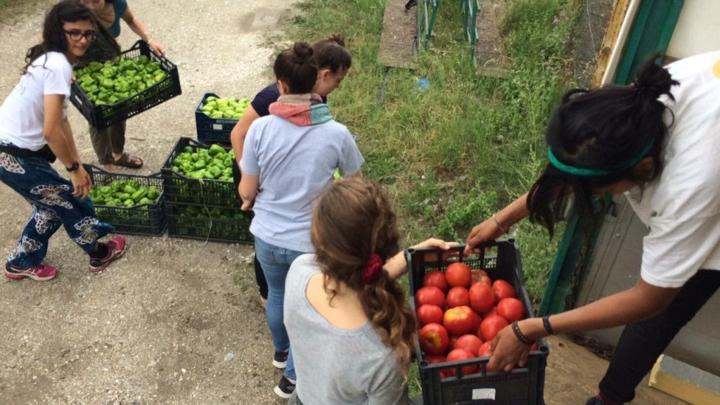 Feed & Empower Over 5000 Refugees in Greece