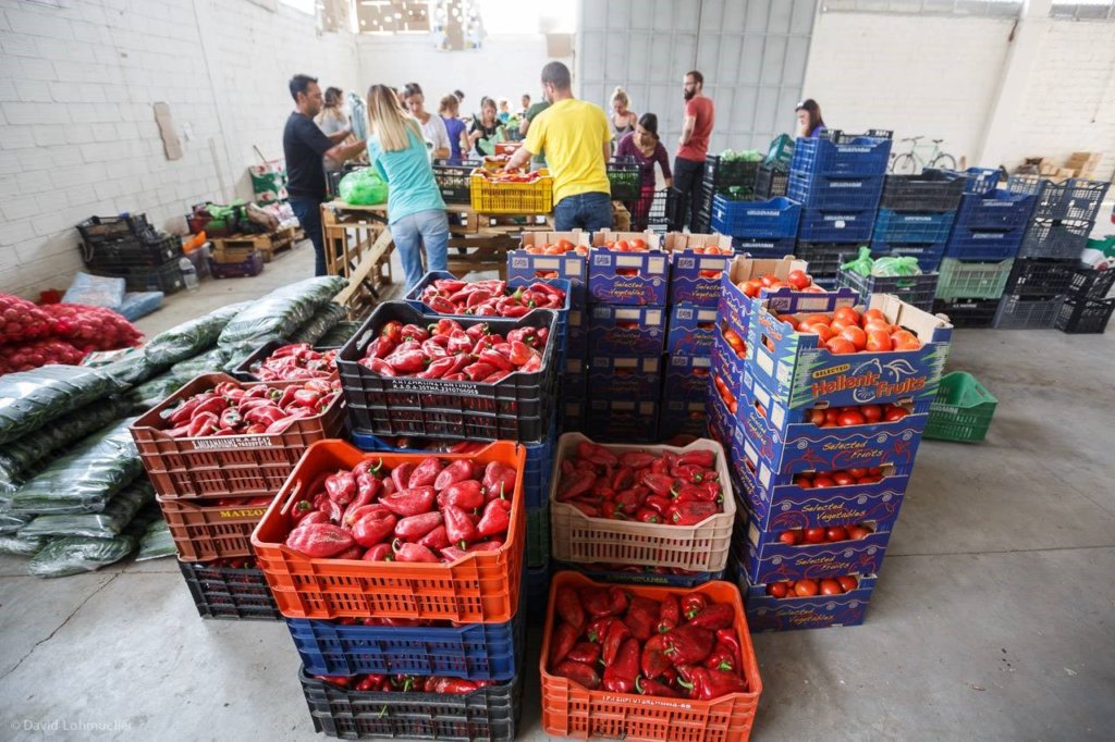 Feed & Empower Over 5000 Refugees in Greece