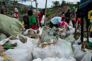 43 bags of plastic bottles sorted for recycling