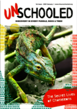 Front cover of The Unschooled