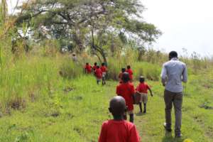 Nature walk
