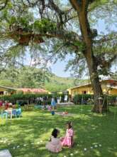 At the Magic Tree: Early Years learning thro' play