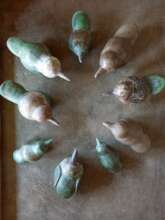 Y7 pottery