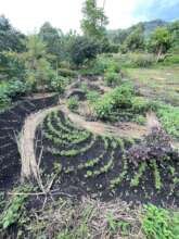 Students' vegetable garden design at SgS