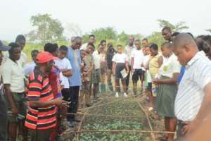 Students volunteering on the farm