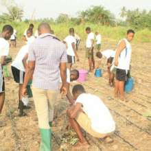 Students volunteering on the farm