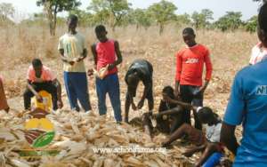 School Farms in Savelugu, Northern region