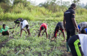 Help Provide School Meals for 5000 Children