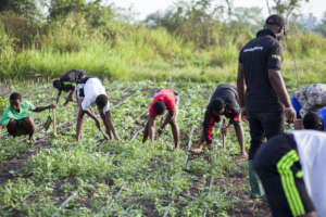 Help Provide School Meals for 5000 Children