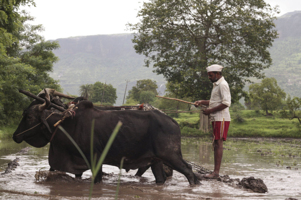 Help Build Our Library! -1200 Villagers from India