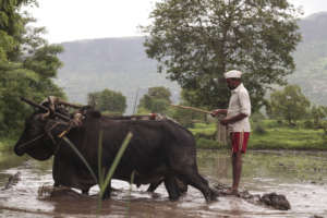 Farmers land