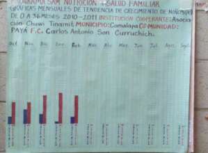 Graph Showing Number of Stunted Babies
