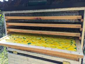 $25 Solar Fans = Double Amount of Food