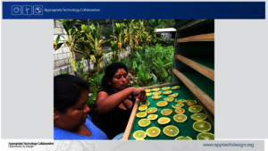 Business Students Loading Dehydrator