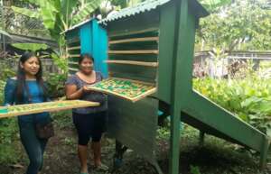 Family Using Dehydrator