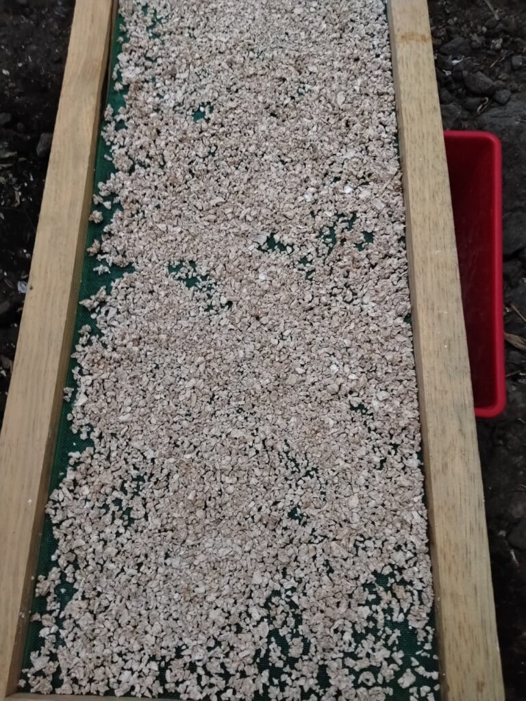 Taro Root Pieces on Drying Rack