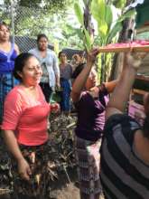 8 Batz experiments to create herbal teas