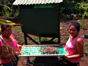 Marisela and Ruth with ready to dry some fruit