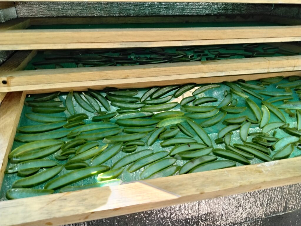 Solar Fruit Dehydrators for MicroEntrepreneurs