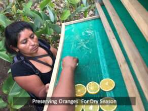 Dehydrators Create Opportunity