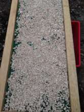 Taro Root Pieces on Drying Rack