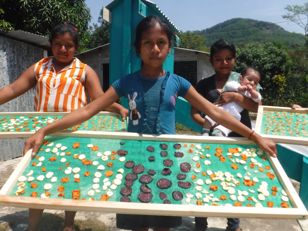 Solar Fruit Dehydrators for MicroEntrepreneurs