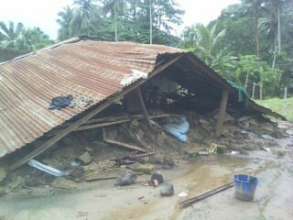 Damaged house
