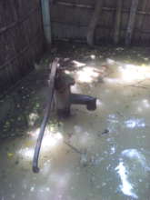 Tube well under Water