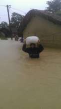 Everywhere water, difficult to live alive