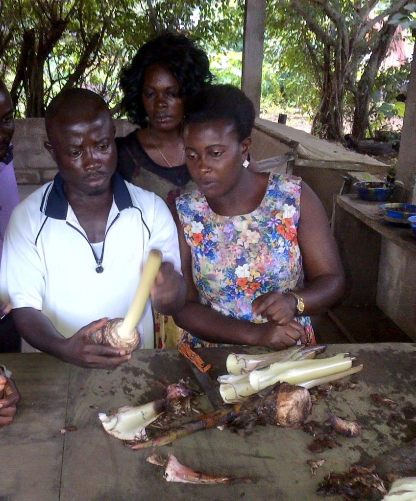 Help Rehabilitate 30 female school drop-outs.