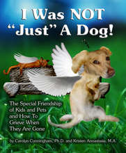 Cover of Book