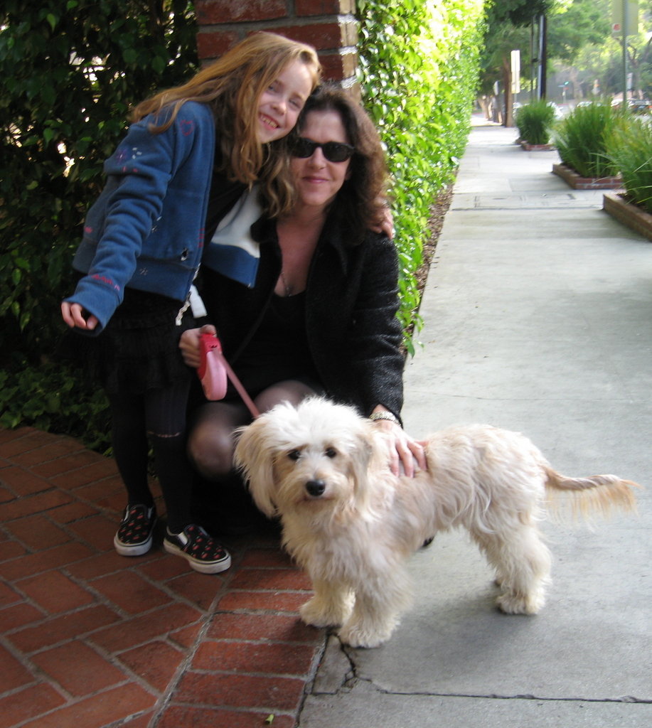 Emergency transport for pets in LA County