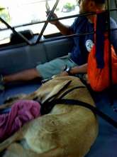 Rescue en route