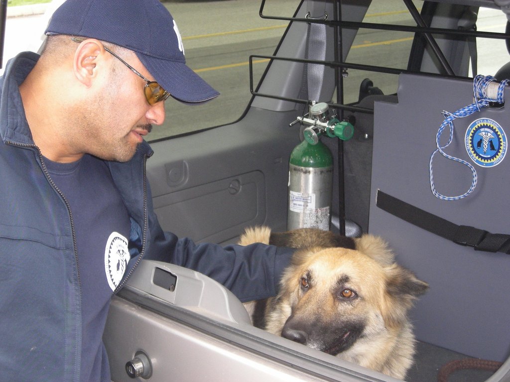 Emergency transport for pets in LA County GlobalGiving