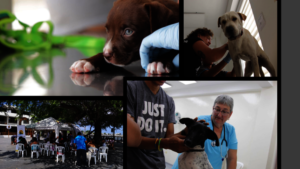 San Cristobal Clinic