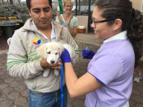 First dog vaccinated on the Galapagos!