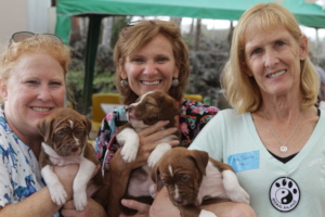 Puppies at the clinic for vaccines, Santa Cruz.