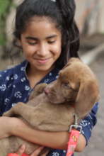 A young girl with her puppy, Santa Cruz.