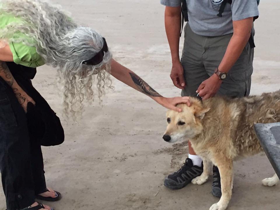 Vaccinate Dogs on the Galapagos Islands, Ecuador