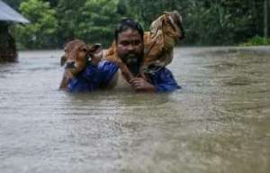 The man is risking his life to save his livelihood