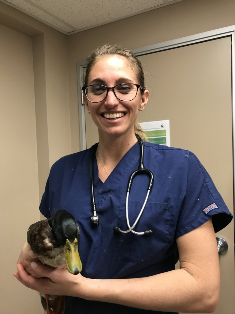 Dr. Murphy and Otter
