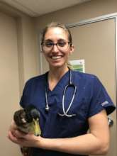 Dr. Murphy and Otter