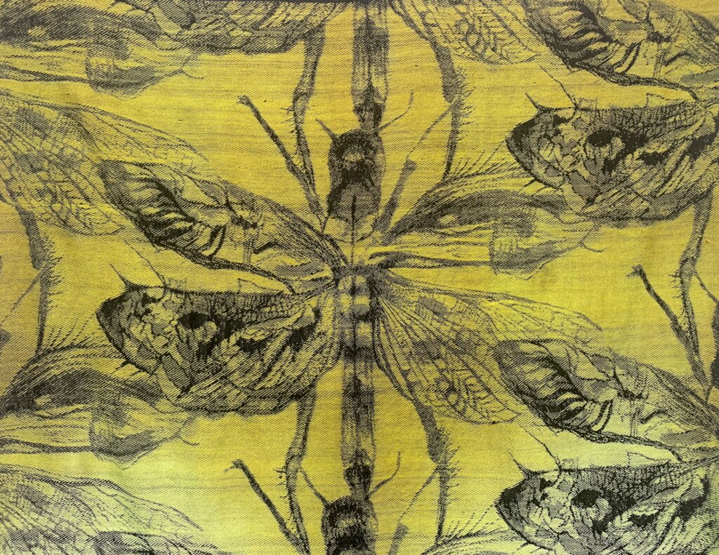 Monarch II by Isabel Oliva