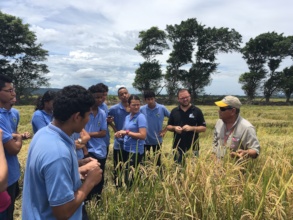 Students during company visit Tio Pelon Rice field
