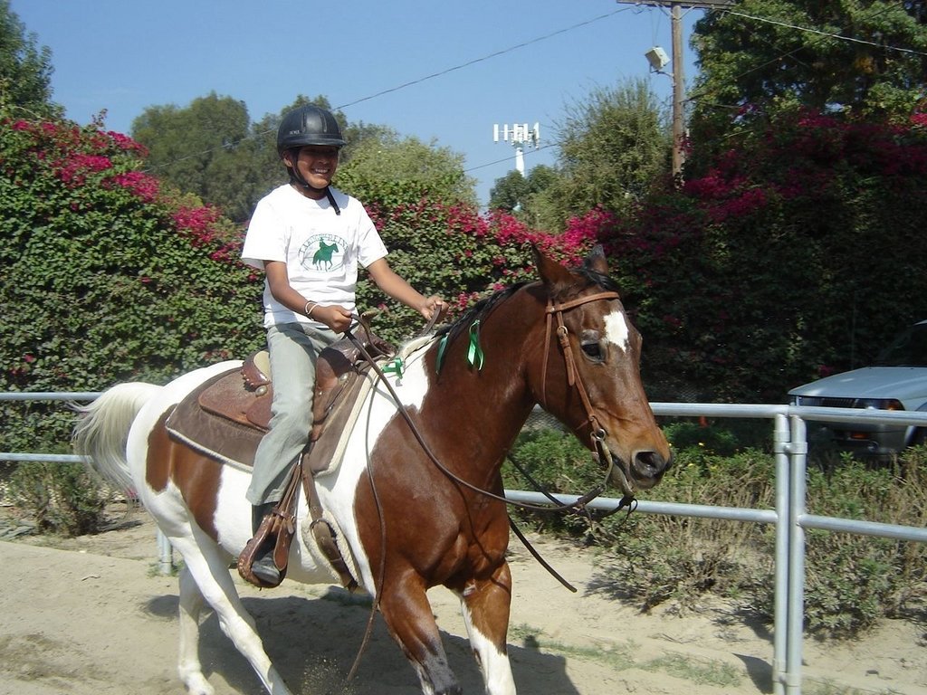 Empower At-Risk Girls Through Horse Power