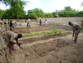 Horticulture training in progress