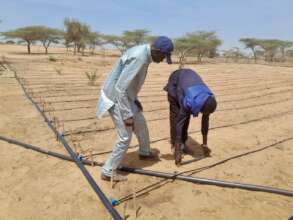 Expert supervision by Mr Demba Diop