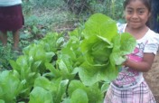 Food Sovereignty for 50 Families in Mexico